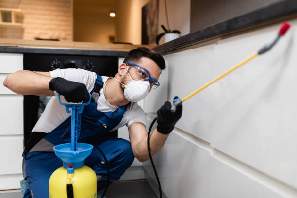Best Wasp Removal Services  in Village Of The Branch, NY