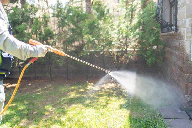 Best Best Pest Control Companies  in Village Of The Branch, NY
