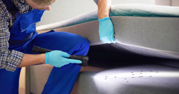 Flea Control Services in Village Of The Branch, NY
