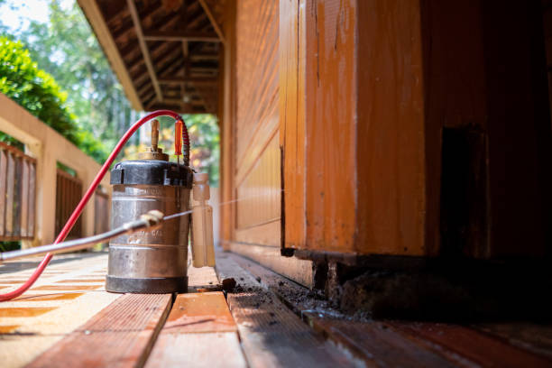 Best Ant Control Services  in Village Of The Branch, NY