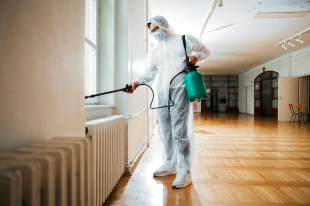 Best Pest Removal Services  in Village Of The Branch, NY