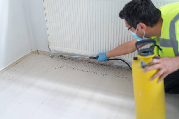 Best Pest Prevention Services  in Village Of The Branch, NY